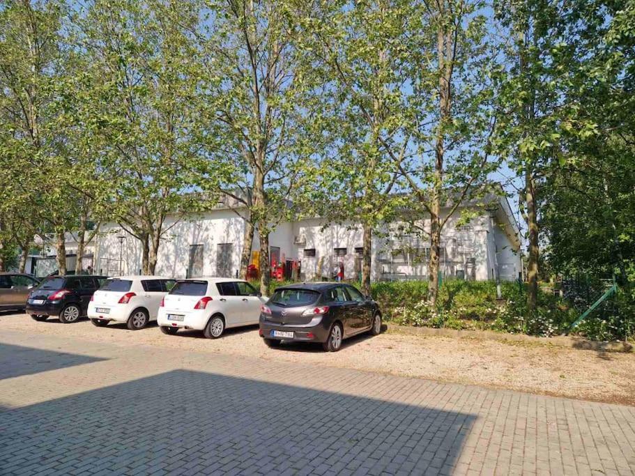 Swan Apartman - Keszthely Ngoại thất bức ảnh